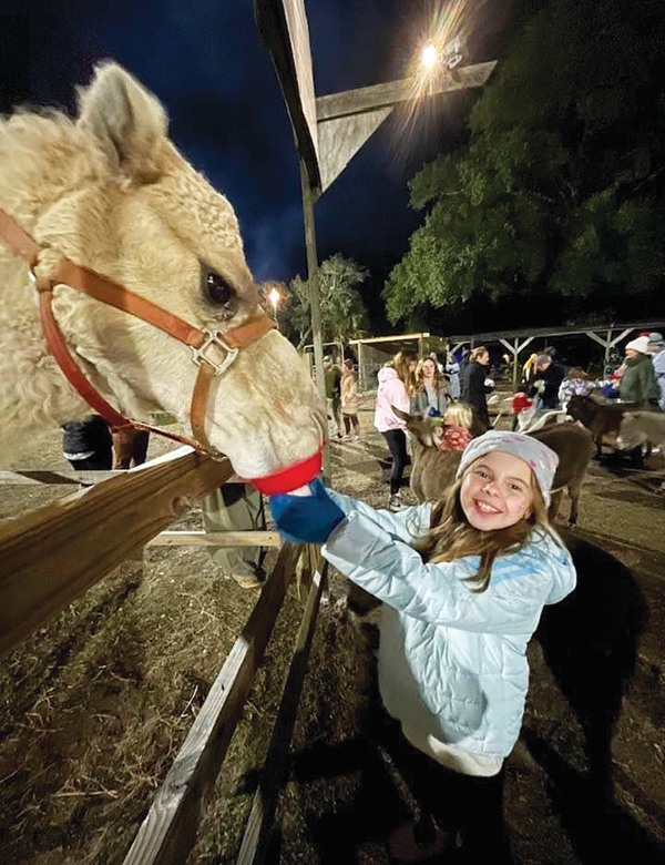 Live Nativity 4