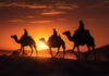 Three Wise Men Camels