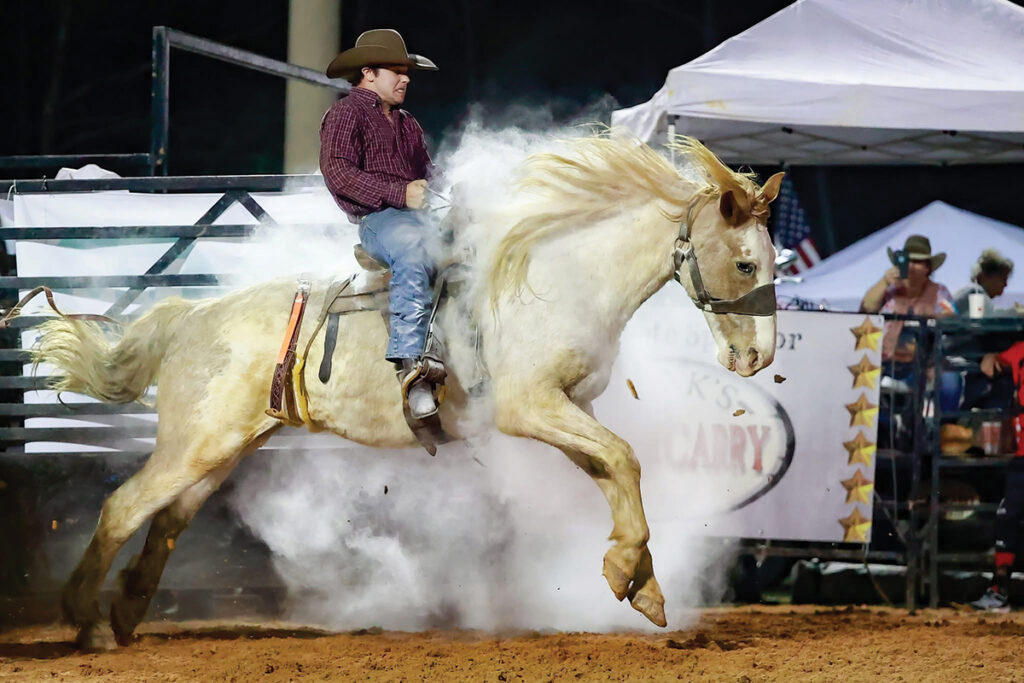 Westonwood Rodeo 2799