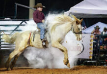 Westonwood Rodeo 2799