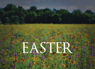 Sean Dietrich Easter Image