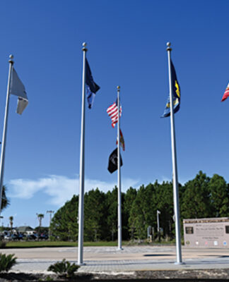 Womens Veterans Day