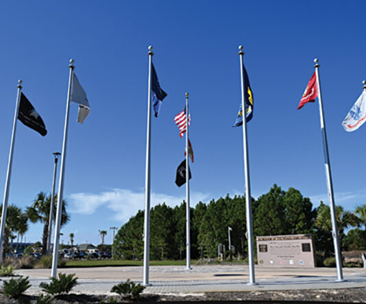 Womens Veterans Day
