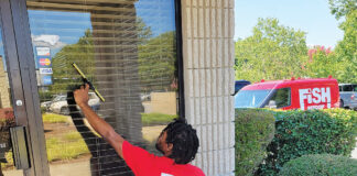 Fish Window Cleaning