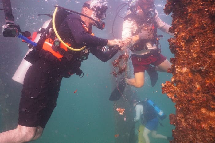 Pier Cleanup
