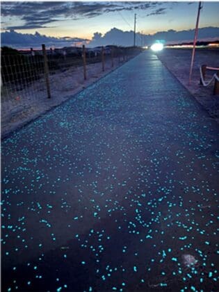 Bridge To Bridge Bike Path